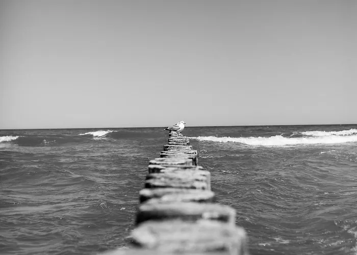 Perłowa Przystań Apartament *