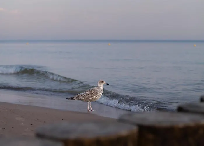 Perłowa Przystań Apartament *